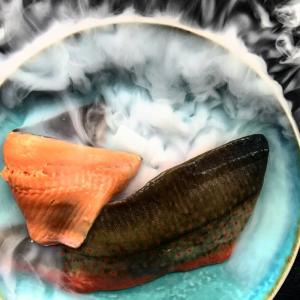 Arkties polių filė