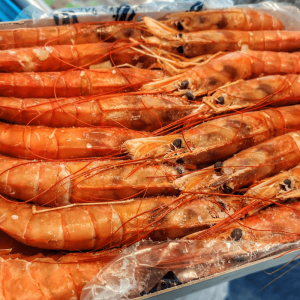 Laukiniai Langustinai