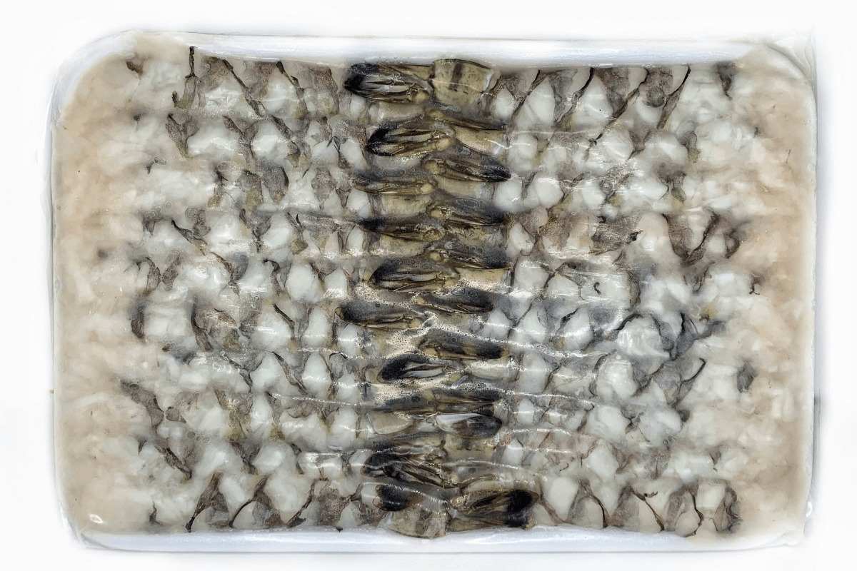 Didžiosios tigrinės krevetės - "Nobashi" - Image 2