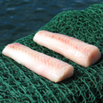 Ledjūrio menkės nugarinė filė