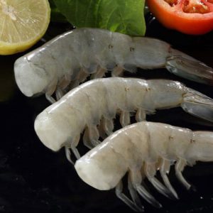 "Vannamei" krevečių uodegėlės 16/20