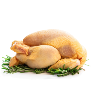 Prancūziška kukurūzinė višta