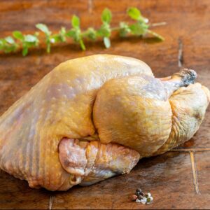 Prancūziška patarška (GuineaFowl)