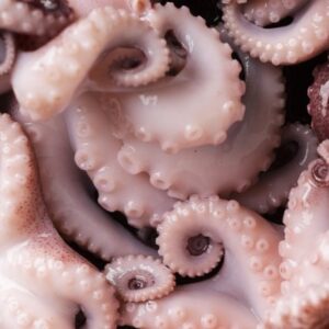 Mažieji aštuonkojai