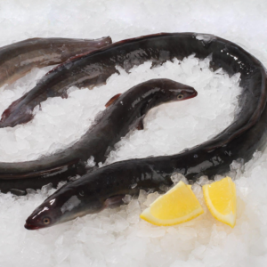 Europinis upinis ungurys