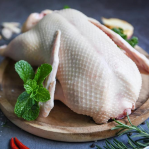 Pekino Antis visa (2.6kg)