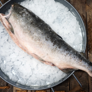 Laukinė Lašiša Kuprė