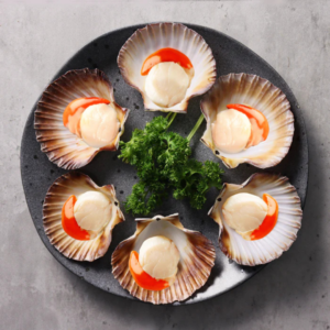 Laukinė Didžioji Jūrų Šukutė Su Kiautu