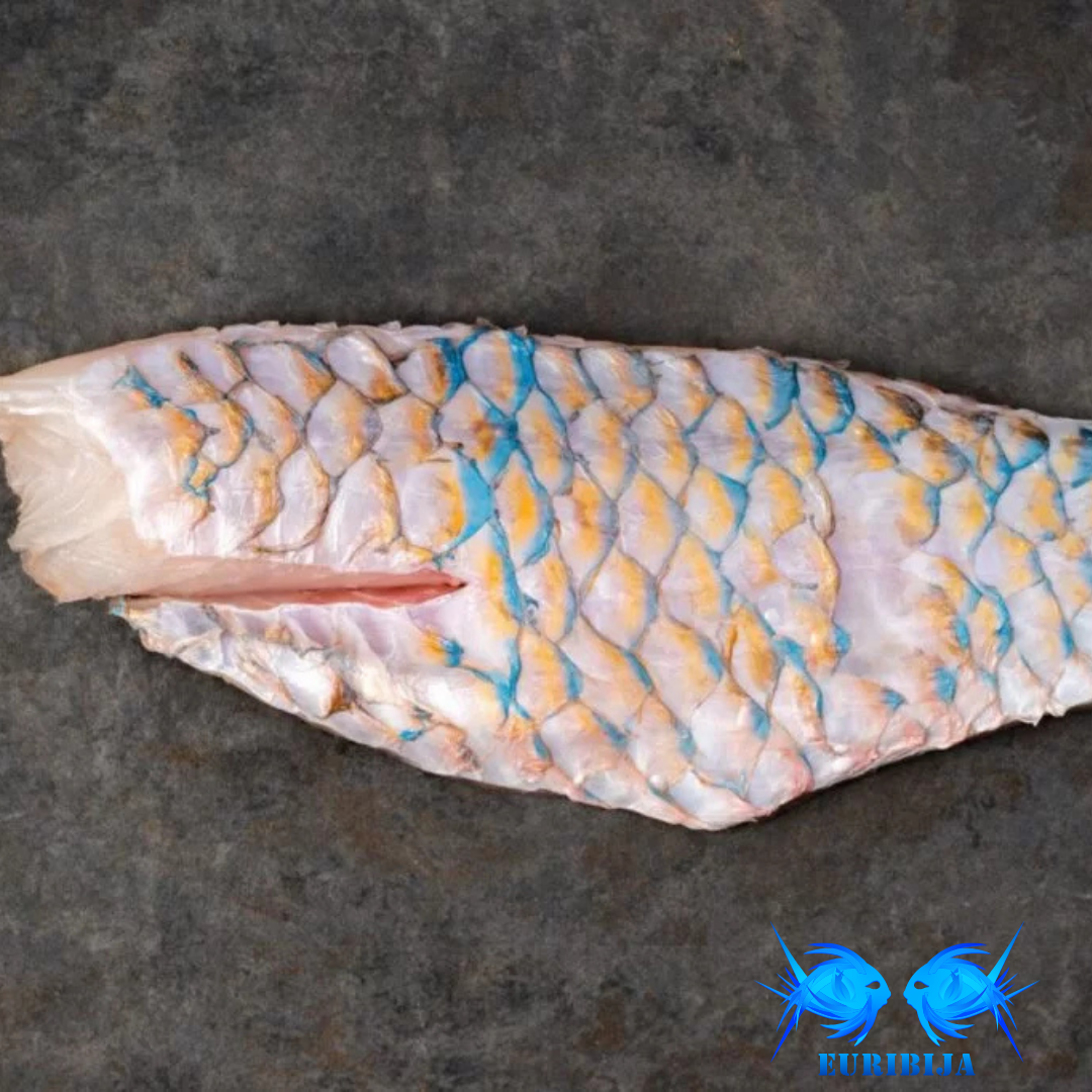 Papūgžuvės filė su oda